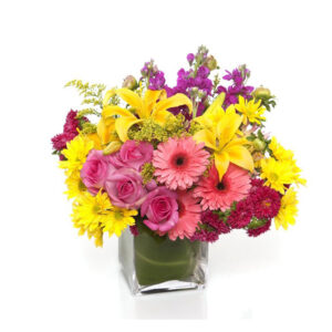 Bunch of Assorted Gerberas